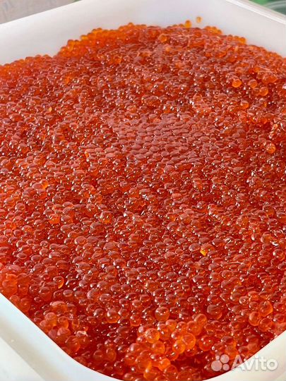 Красная икра горбуши