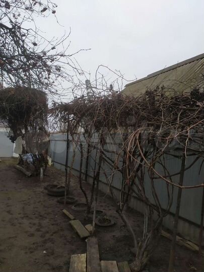 Дом 53 м² на участке 15 сот.