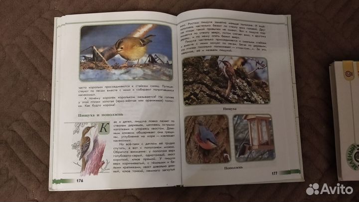 Зеленые страницы. А. А. Плешаков