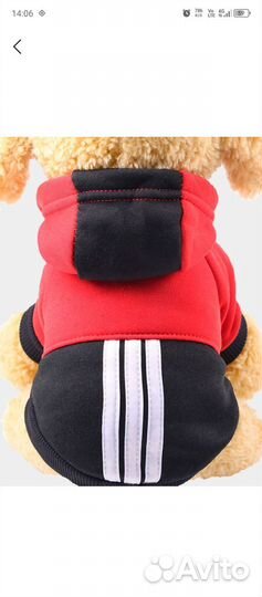 Вещи для маленьких собак