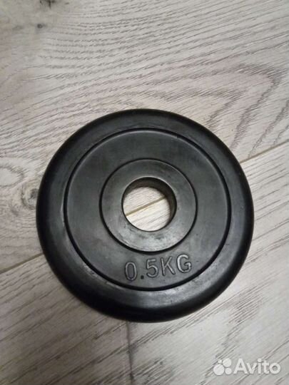 Спортивные блины (цена за штуку)