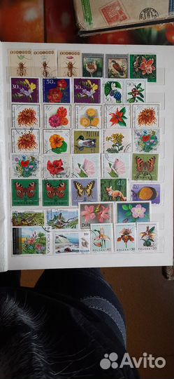 Альбом иностранных марок