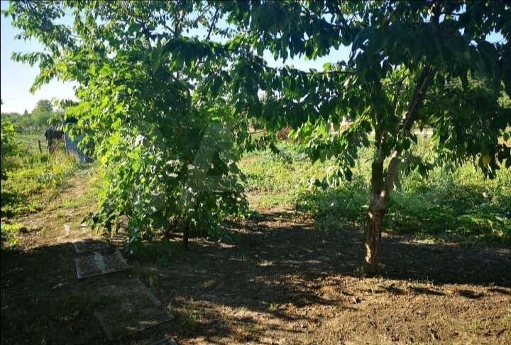 Дом 62 м² на участке 19 сот.