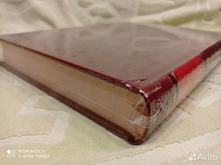 Господа Головлевы, Верже кожа