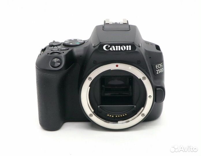 Canon EOS 250D body (пробег 10000 кадров)