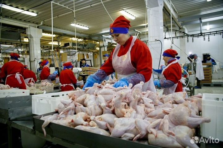 Фасовщик на Птицефабрику/ Краснодарский край
