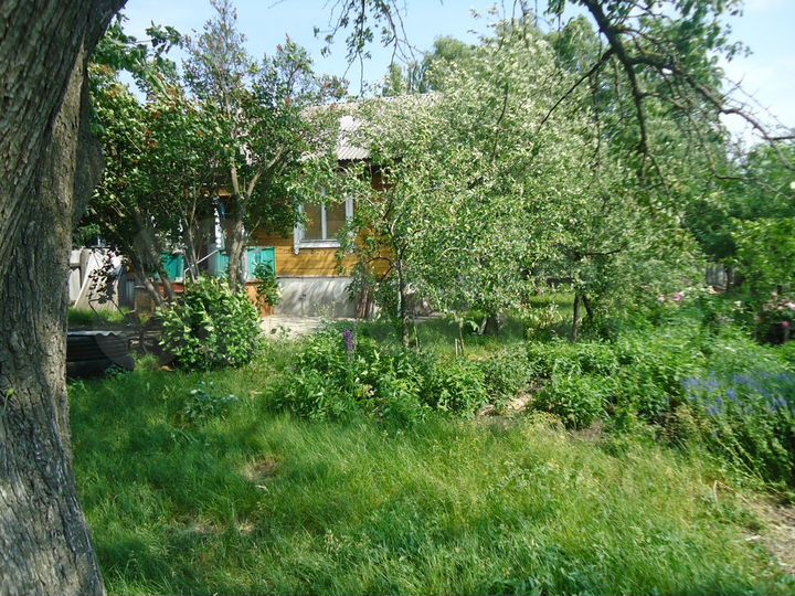 Дом 140 м² на участке 20 сот.