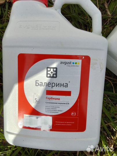 Балерина гербицид