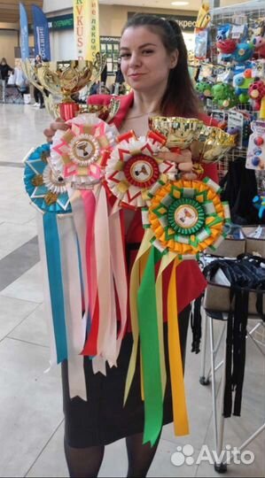 Хендлер / Кинолог