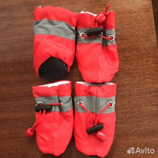 Обувь доя мелких пород собак