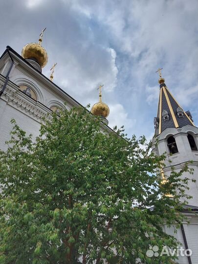 Тур в Нижний Новгород+Шереметьевский замок+Городец