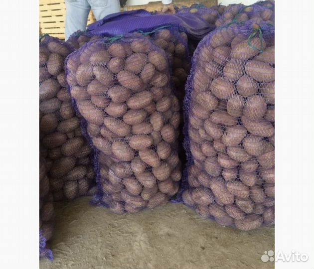 Продам картофель оптом