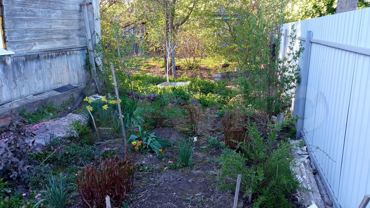 Дом 40 м² на участке 15 сот.