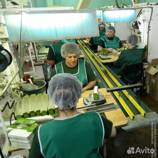 Вахта с проживанием и питанием Фасовщик чая сидя