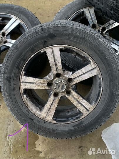 Dunlop Graspic DS2 195/65 R15 B