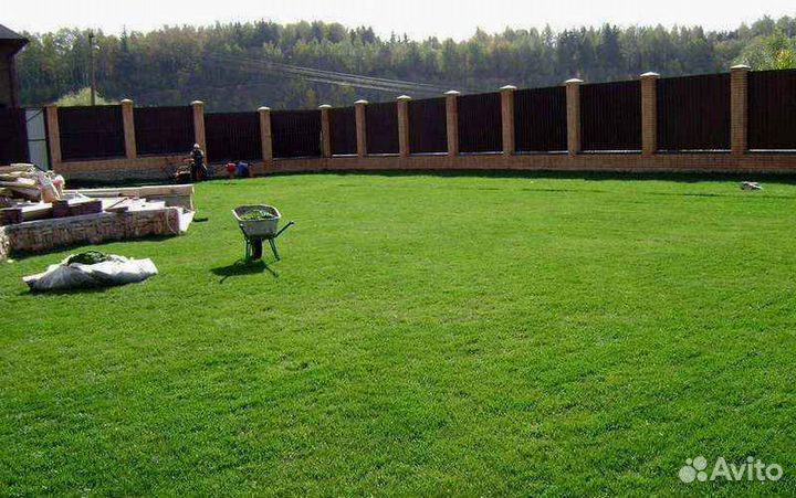 Рулонный газон от производителя