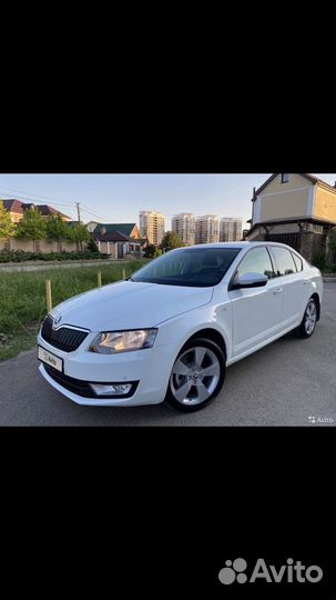 Трансфер Сочи Краснодар Геленджик Новороссийск