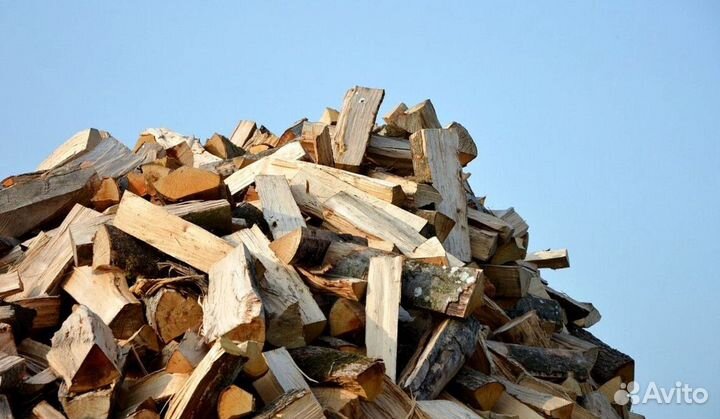 Дрова с Приморска