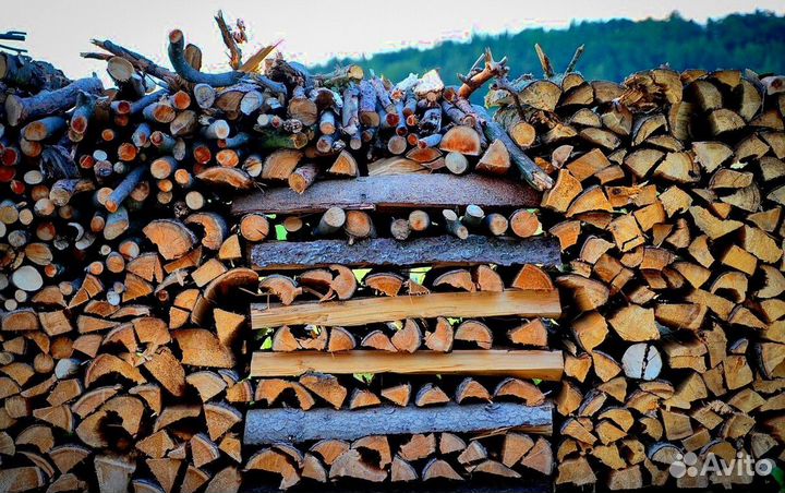 Дрова в баню