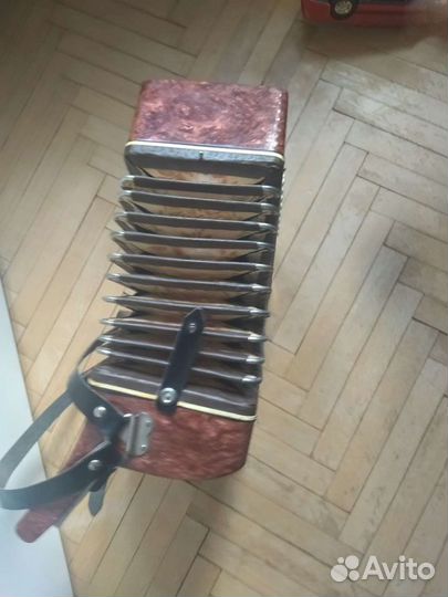 Аккардеон малыш