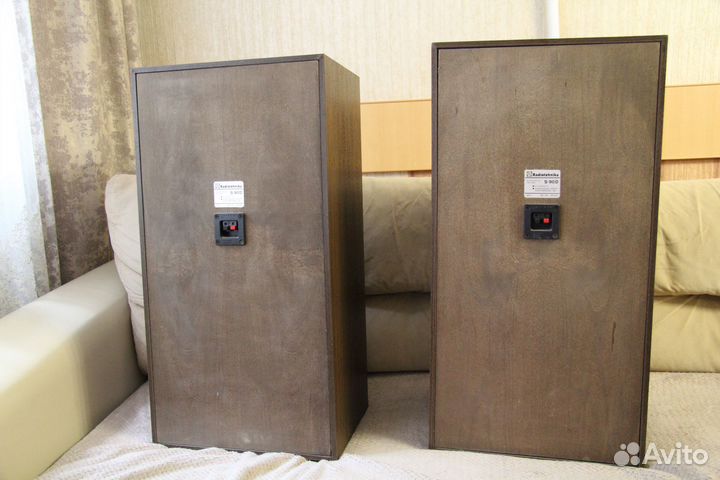 Колонки Radiotehnika S90D