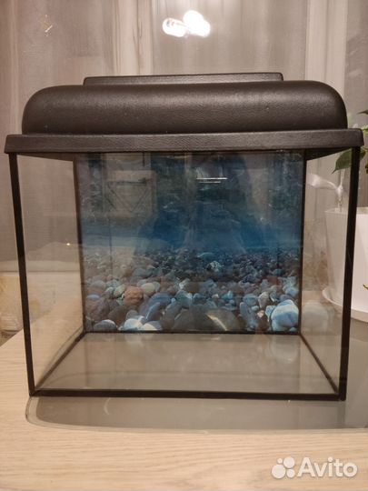 Аквариум + декор