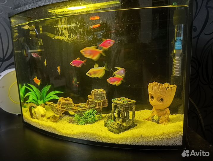 Аквариум
