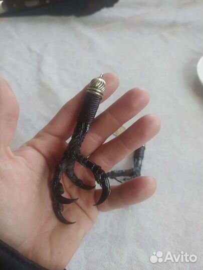 Кулон лапа, коготь ворона