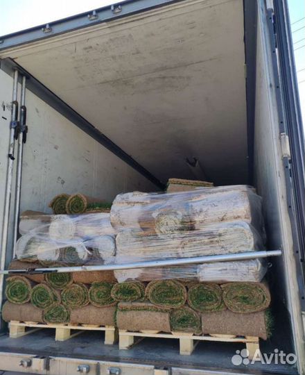 Рулонный газон