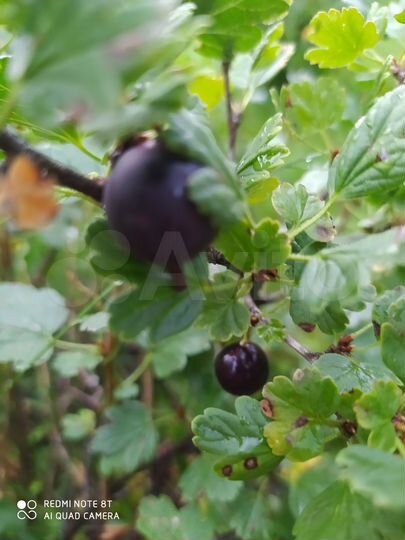 Дача 25 м² на участке 9 сот.