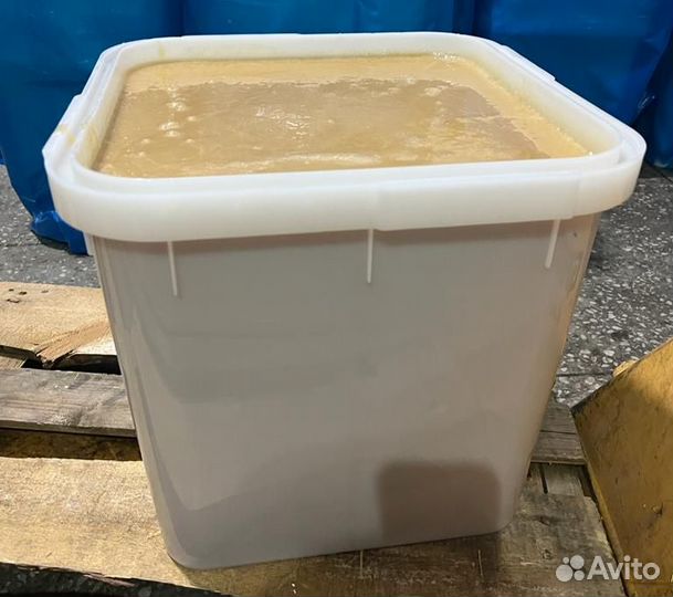 Лесной свежий мёд опт