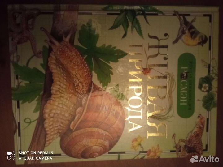 Детская книга