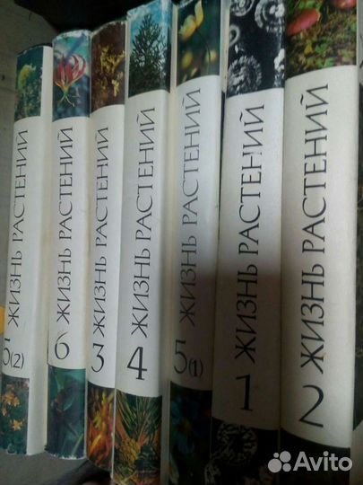 Книги. Сборник