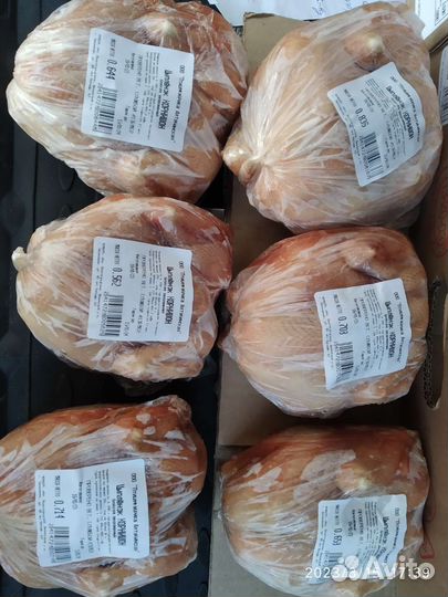 Цыплята корнишоны