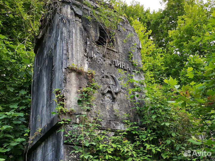 Автобусные туры в Абхазию