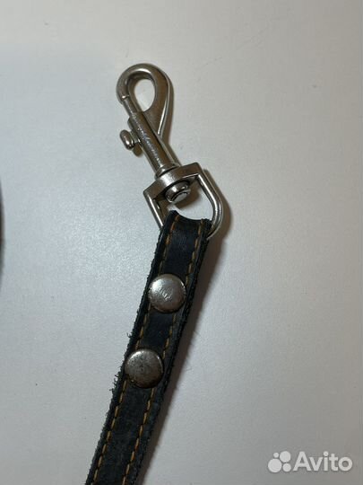 Поводок для собак