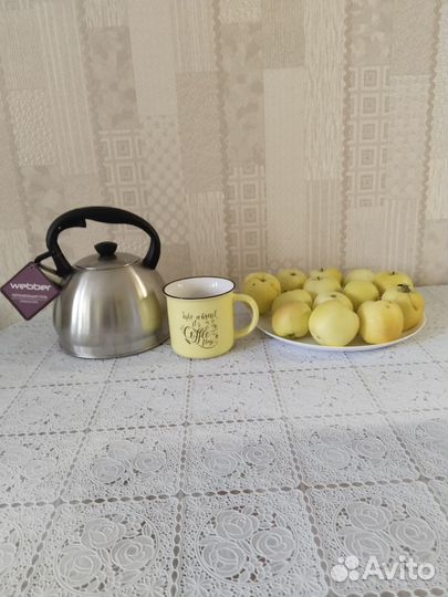 Чайник со свистком новый