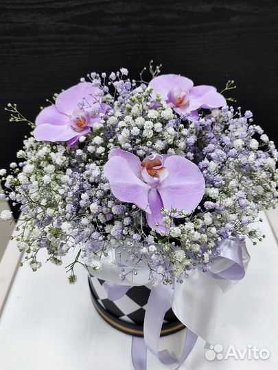 Радужная гипсофила доставка цветов