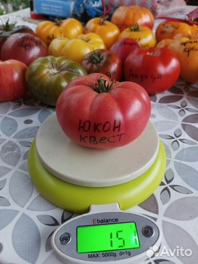 Семена томатов
