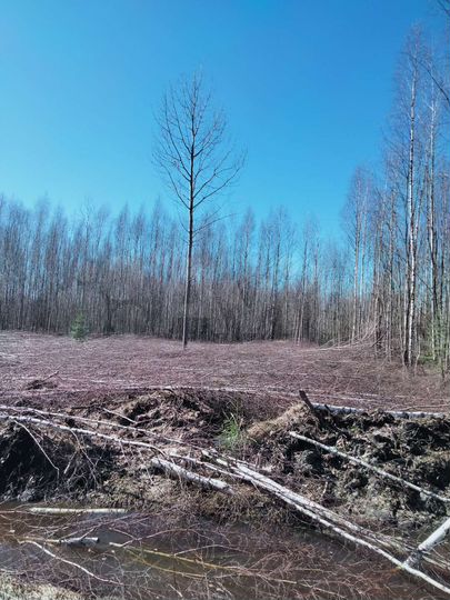 Участок 50 сот. (СНТ, ДНП)