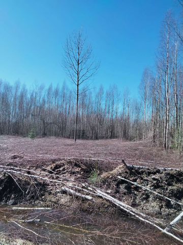 Участок 50 сот. (СНТ, ДНП)