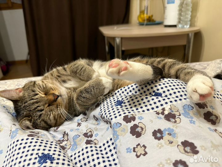 Европейская