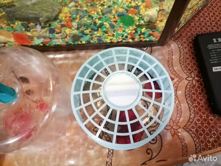 Беговое колесо