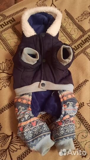 Зимний костюм для собак