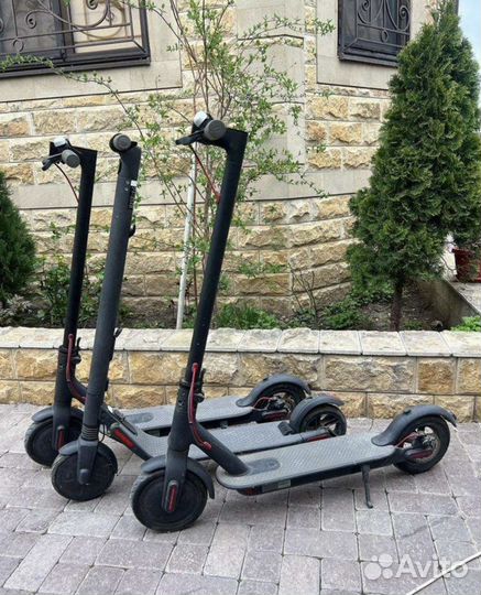 Электросамокат xiaomi m365 оригинал