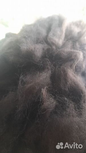 Собачья шерсть для пряжи