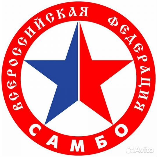 Футболка Всероссийская федерация самбо