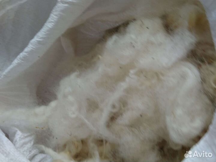 Пряжа из овечьей шерсти