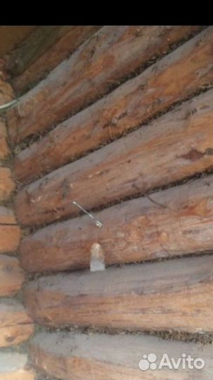 Сруб для бани 3х5 бу