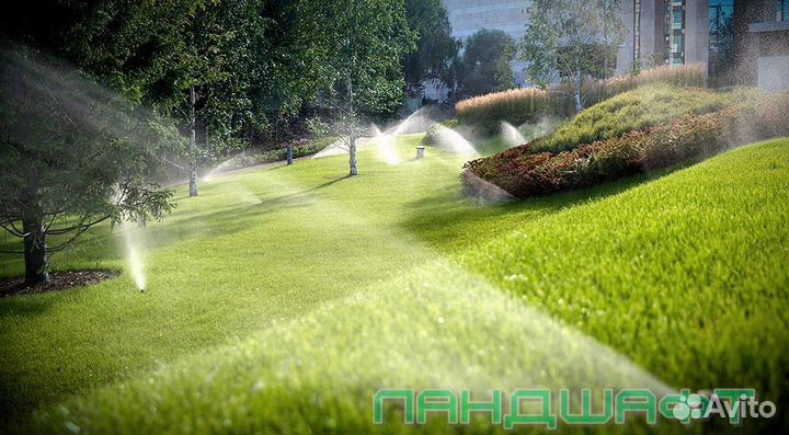 Парковый рулонный газон с укладкой Подольск